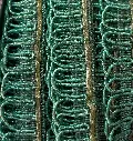 tira lurex menta.webp