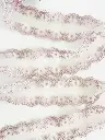 IMG_3160.webp