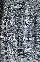 lurex plata 2cm .webp